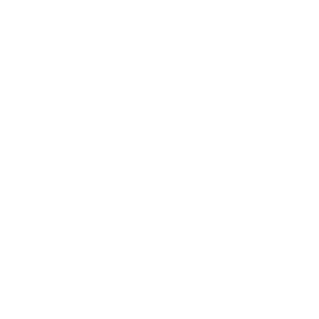 VNS Network